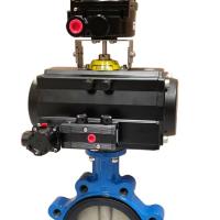 Razvalve WDS3 & LDS3 Wafer & Lugged Series Resilient Seat Butterfly Valves
