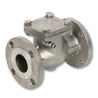 Series 4640 & 4641 Stainless Steel Flanged Swing Check Valve